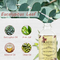 Private Label eukaliptusowy olejek eteryczny naturalny rozmaryn eukaliptusowy lawendowy olejek różany nawilżający masaż twarzy włosy na ciele